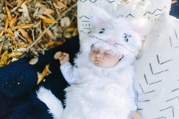 baby kitty costume