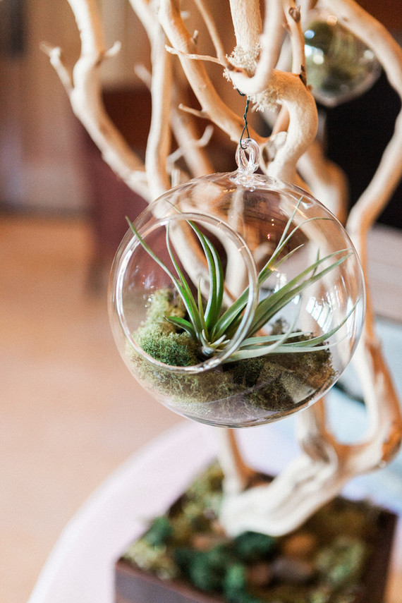 Succulent terrarium