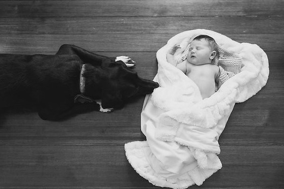 newborn photos