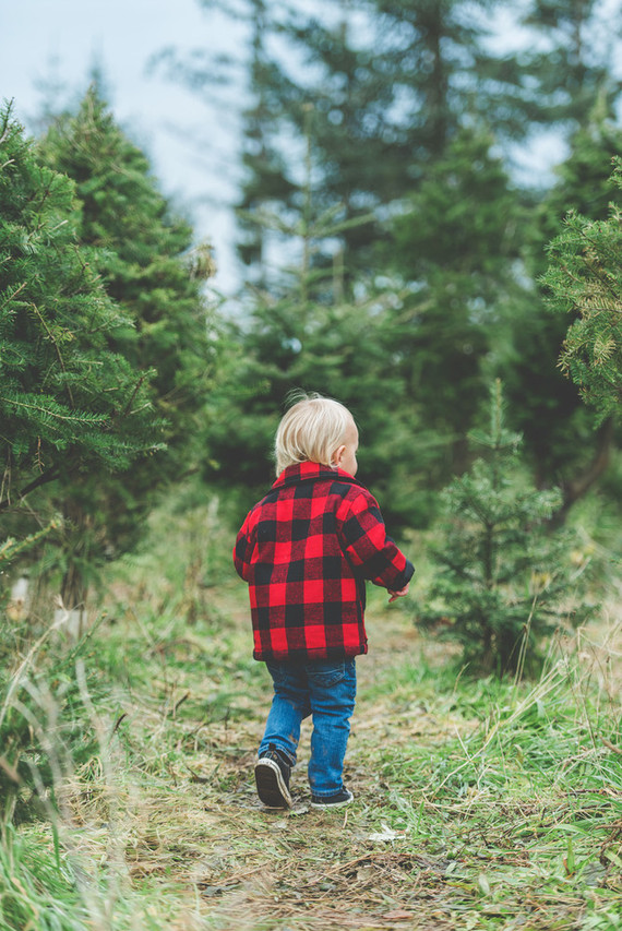 Christmas tree farm family photos
