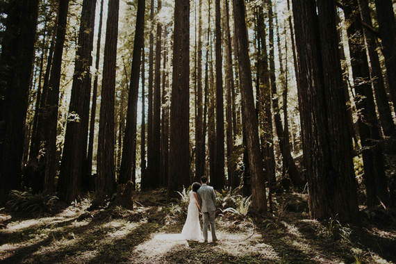 Wedding portrait