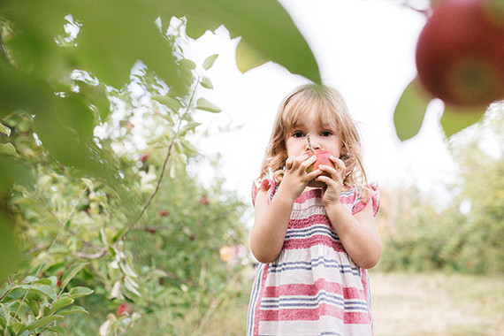 Brooklyn family photos by Nicki Sebastian