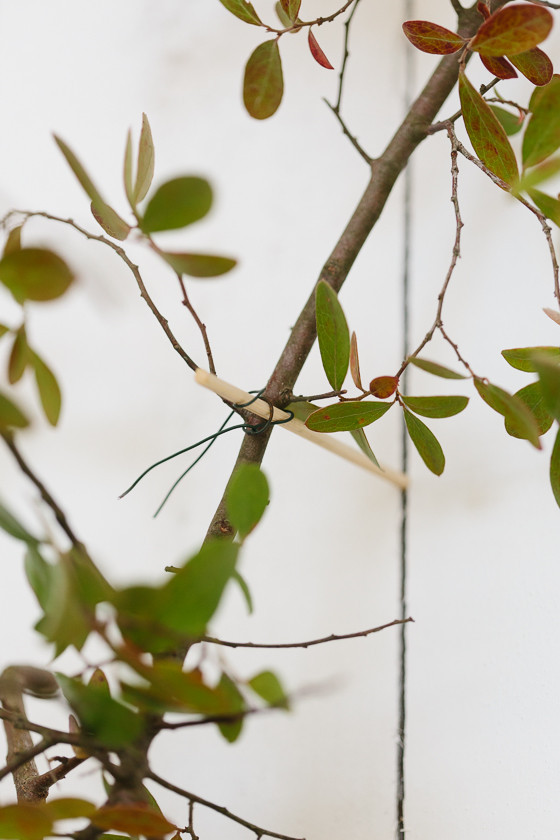 Floral ceremony arch DIY