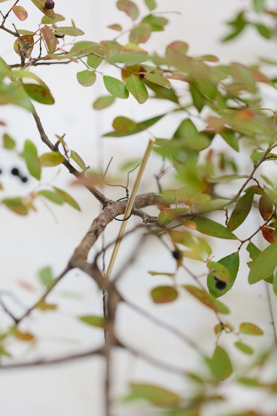 Floral ceremony arch DIY