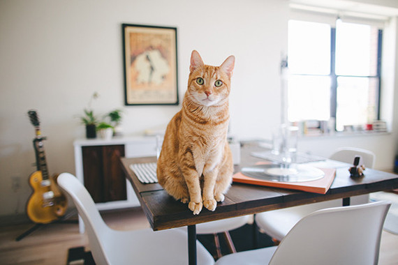 Brooklyn family session