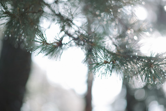Winter wedding ideas Inspiration