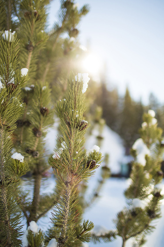 Snowy Colorado wedding