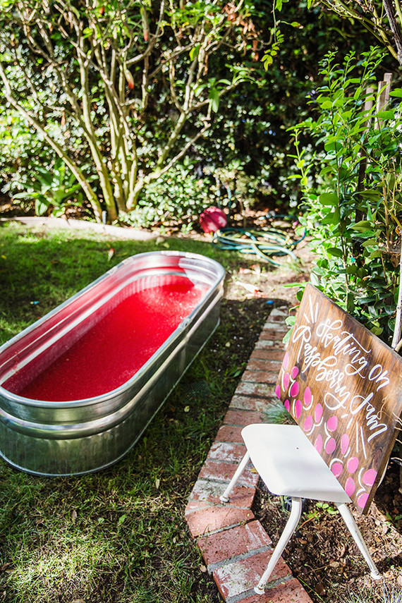Jamberry 2nd birthday party Inspiration