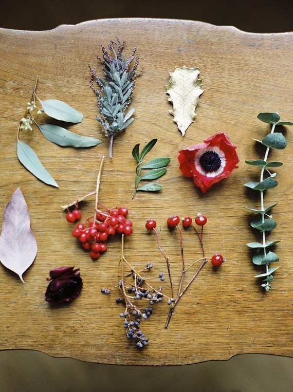 Winter flowers
