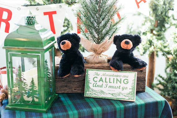 Lumberjack birthday party Inspiration