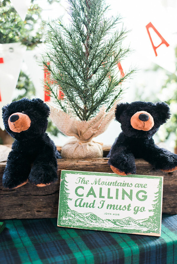 Lumberjack birthday party Inspiration