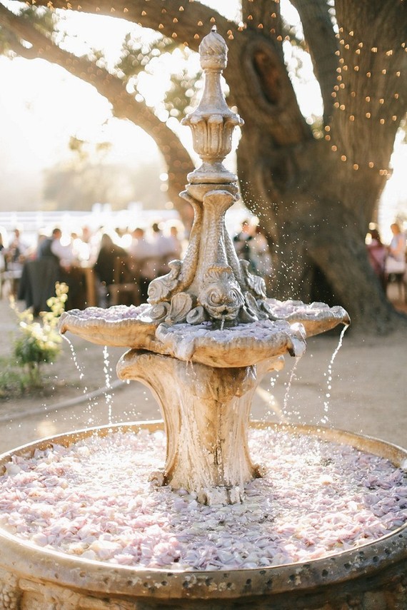 Vineyard wedding