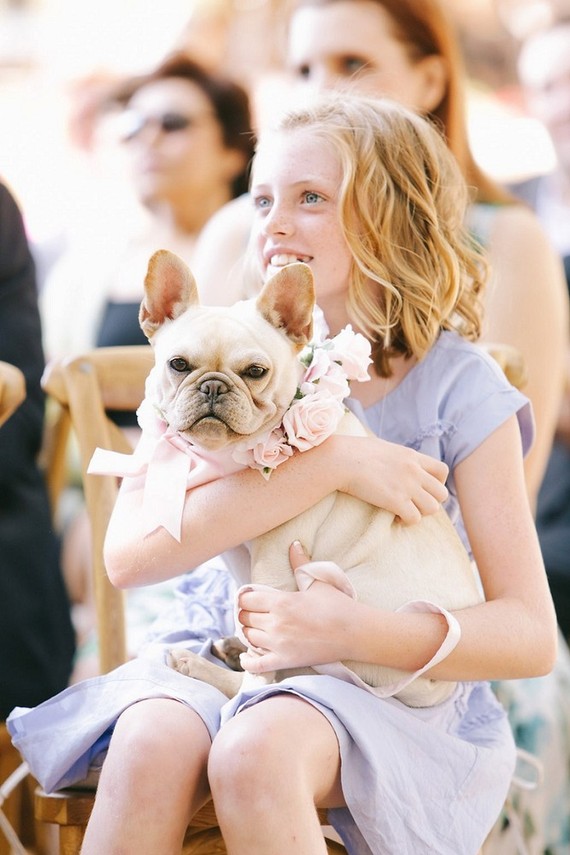 Wedding animals