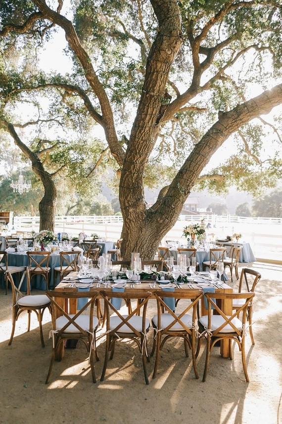 Vineyard wedding