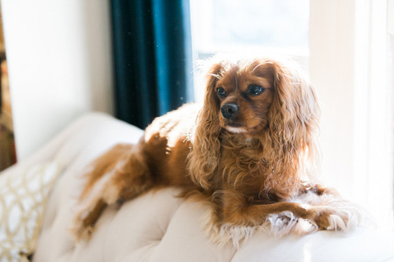 Lifestyle family photos at home