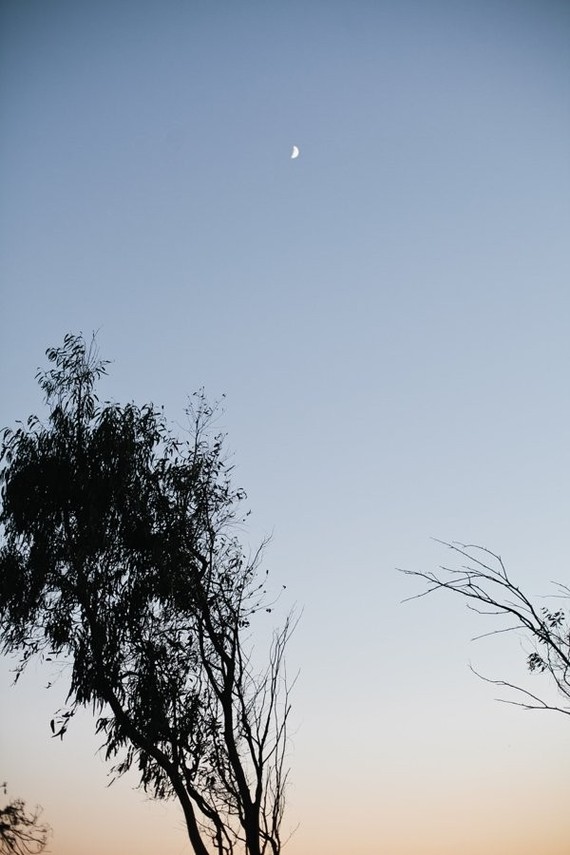 Indigo moon second birthday party