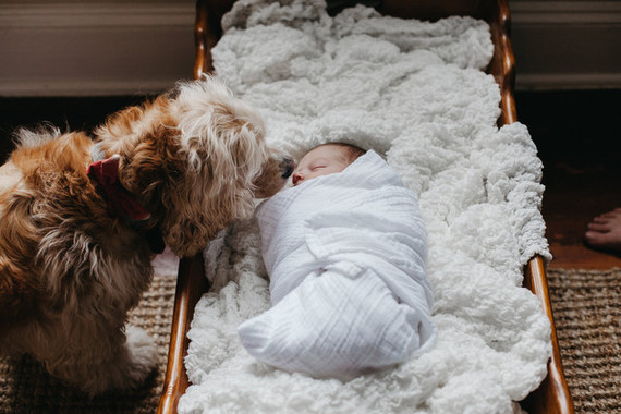 lifestyle newborn photos