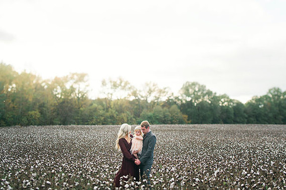 Cotton field family photos