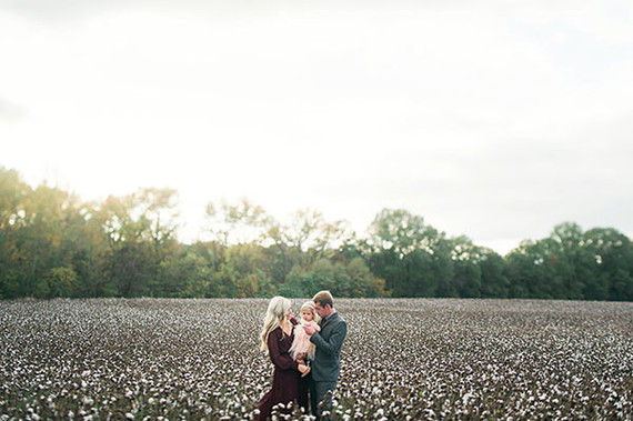 Cotton field family photos