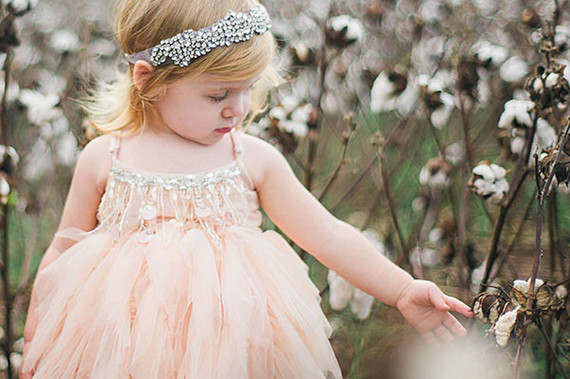 Cotton field family photos