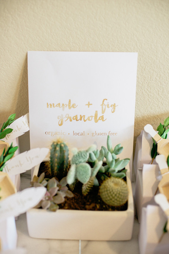tiny cactus planter