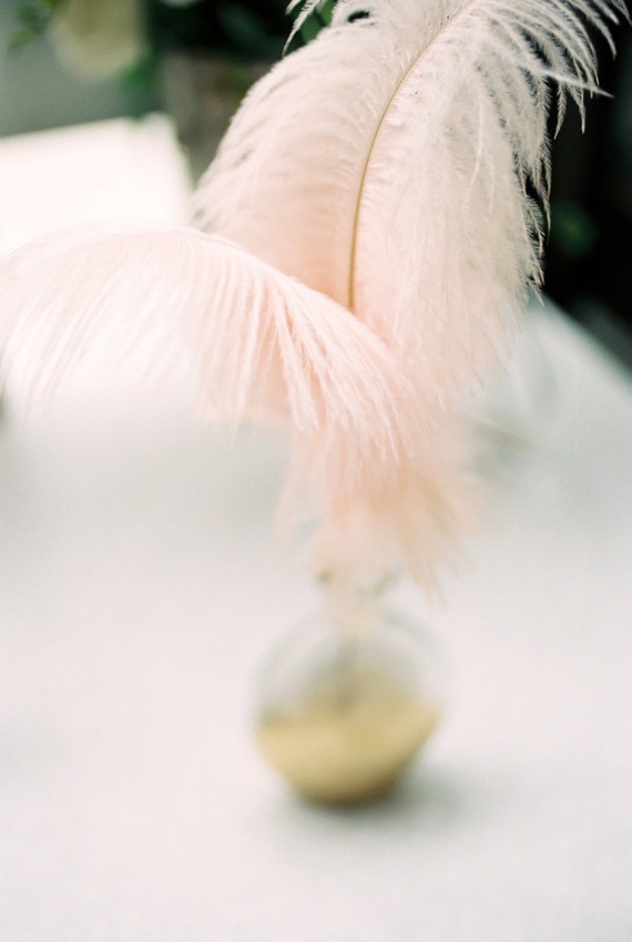 feather decor