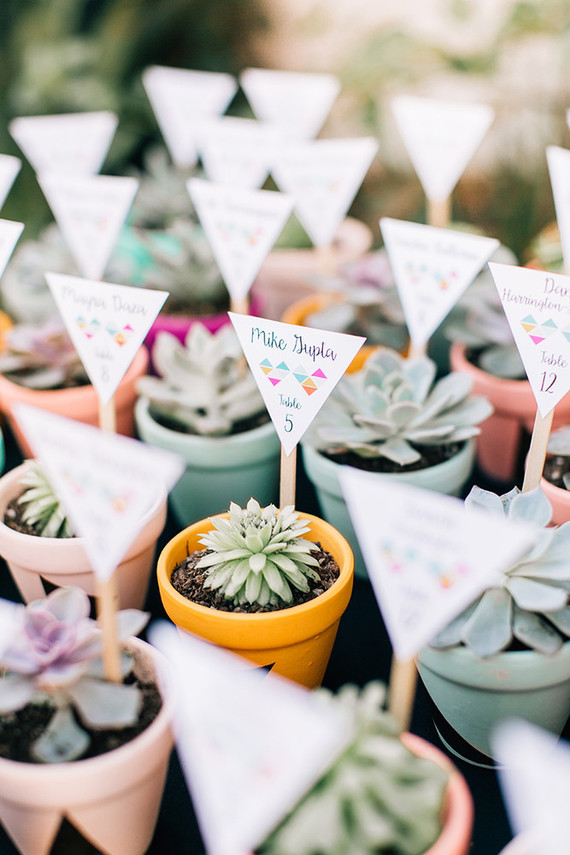 Succulent escort cards