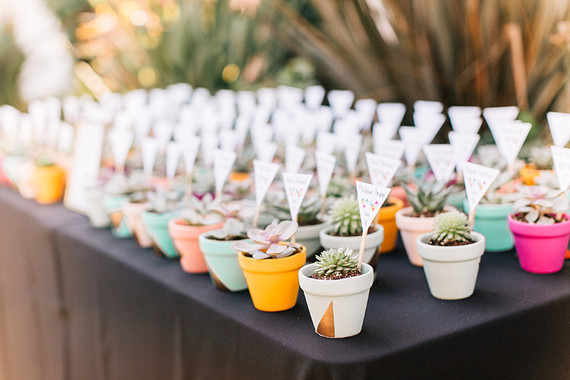 Succulent escort cards