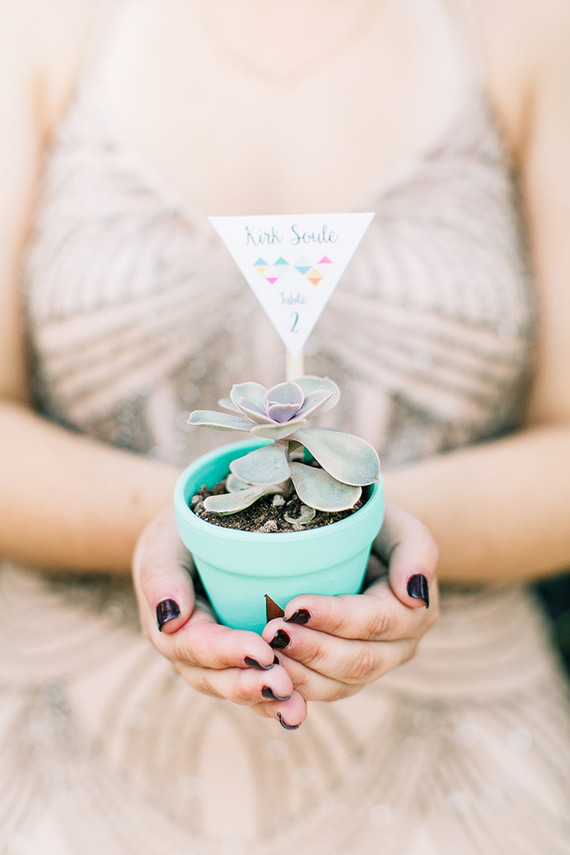 Succulent escort card