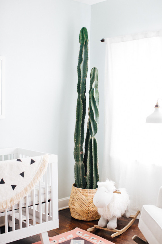 desert inspired boys nursery