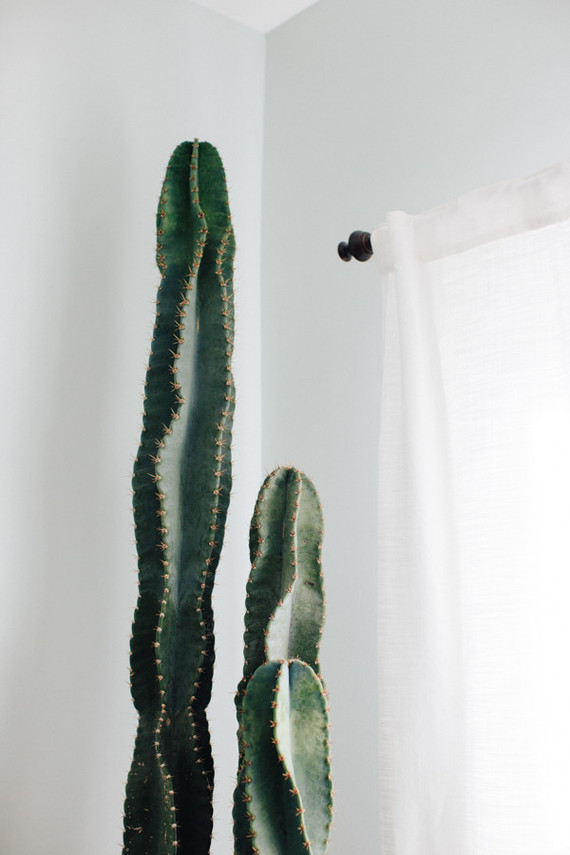 desert inspired boys nursery