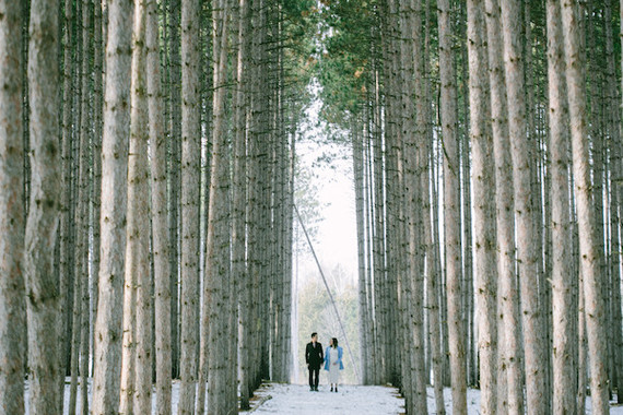 winter forest maternity photos