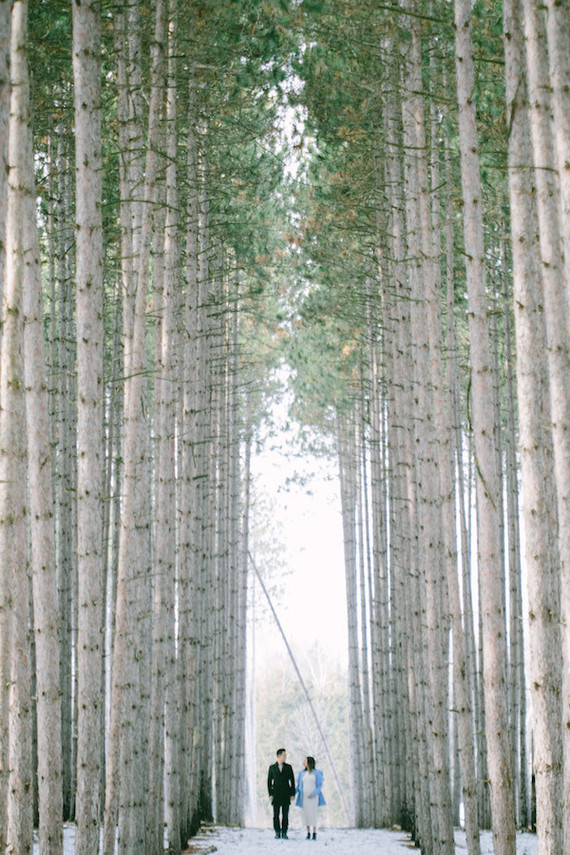 winter forest maternity photos