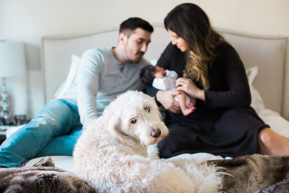 brooklyn newborn photos