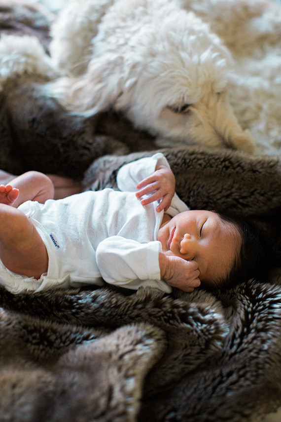 brooklyn newborn photos