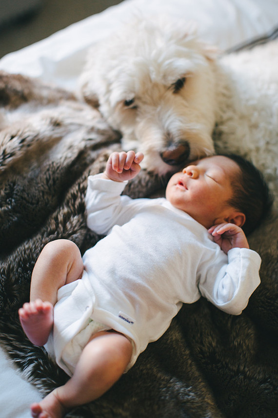 brooklyn newborn photos