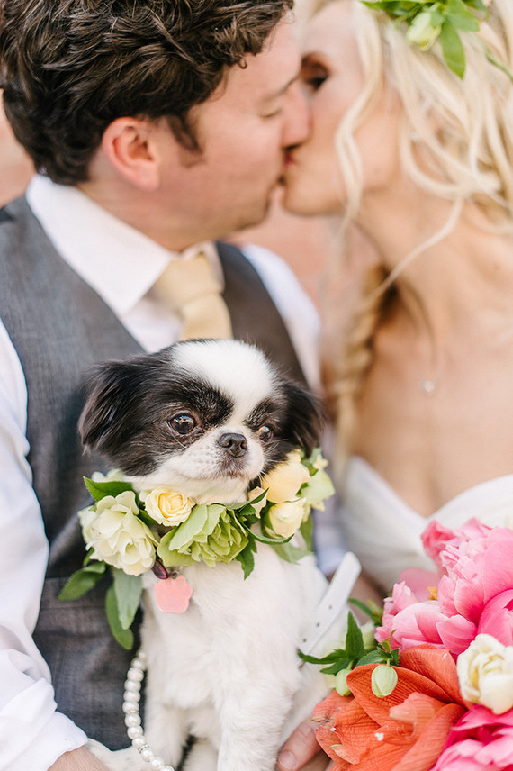 Wedding portrait