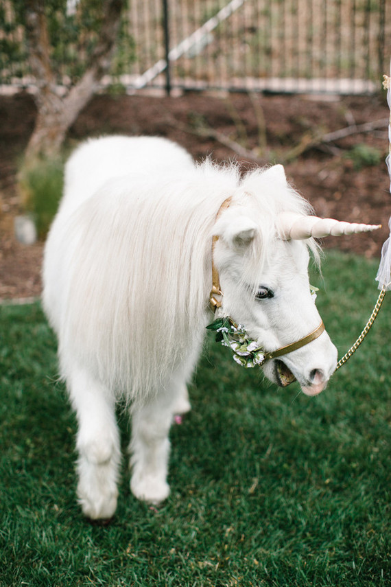a real unicorn party visitor Inspiration