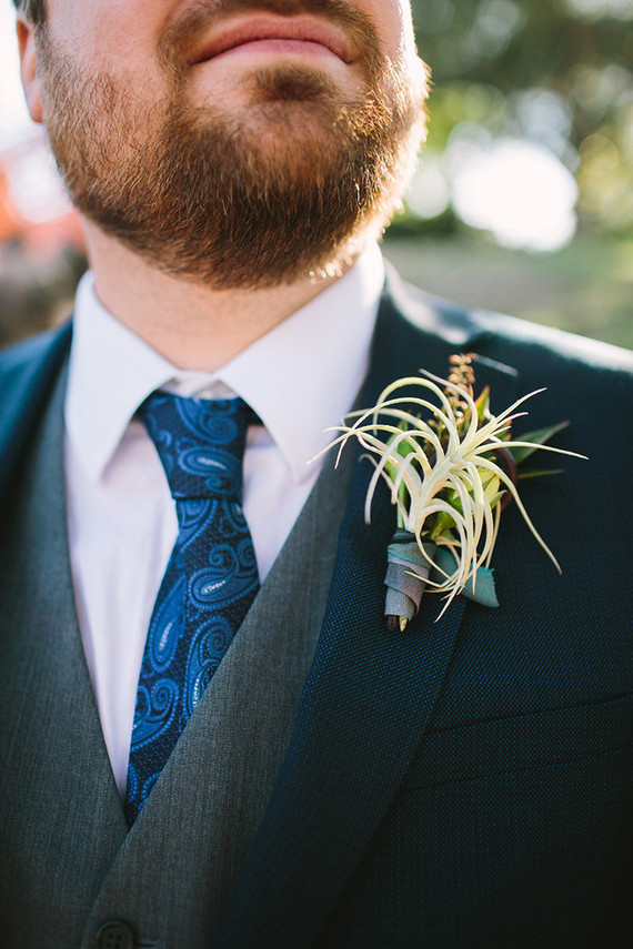 Air plant boutonniere