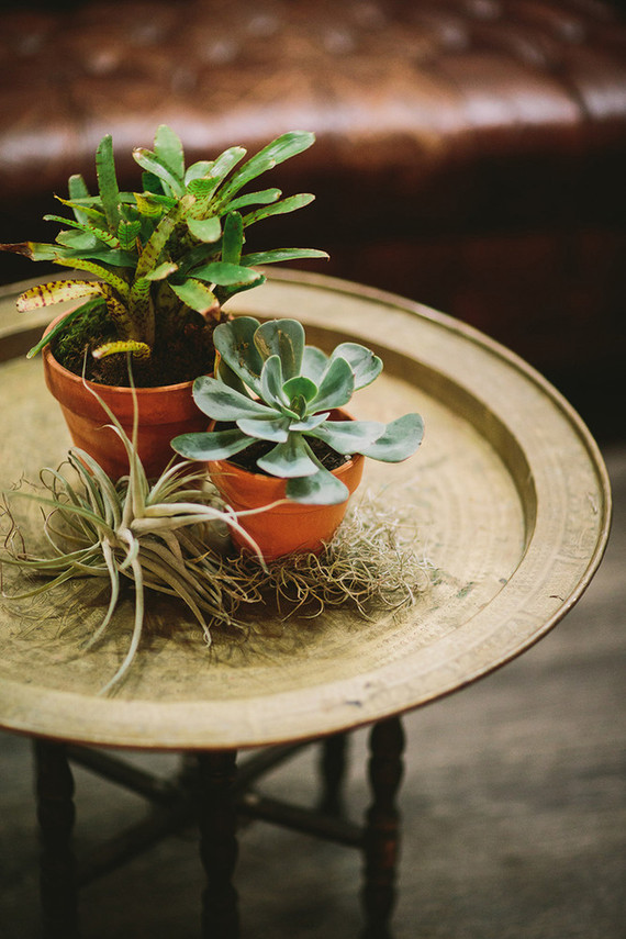DIY Greenhouse wedding