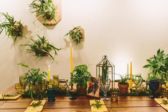 Terrarium decor