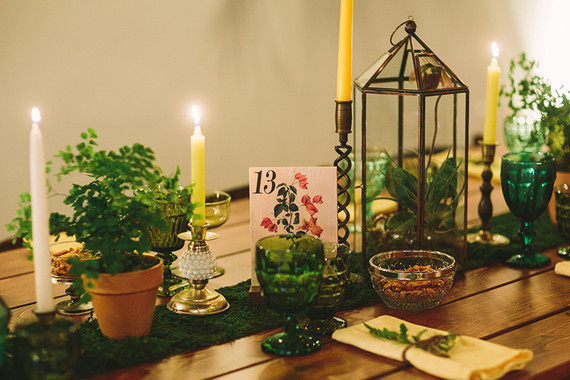 Terrarium decor