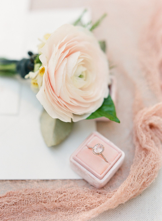 Pink ranunculus