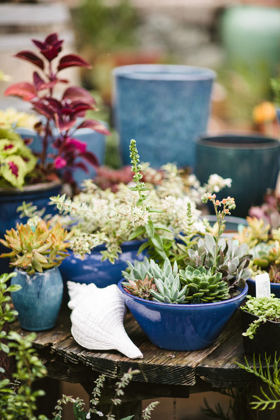 DIY garden wedding