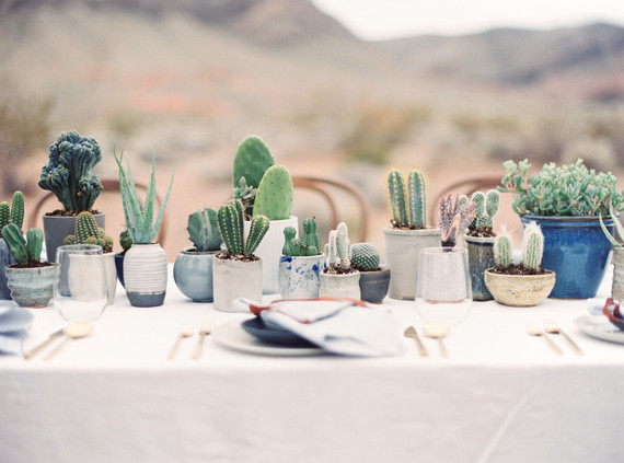 Potted cactus decor
