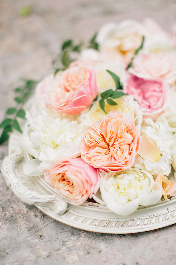 Garden roses