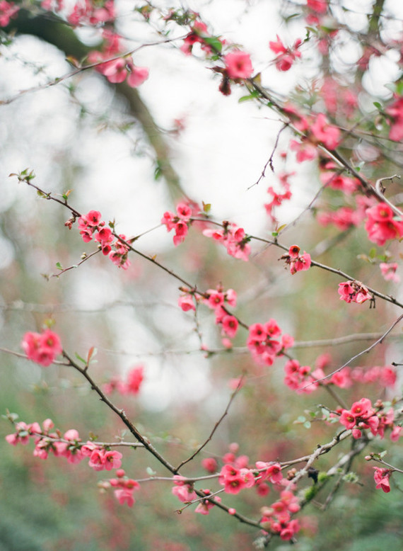 Spring tea party for little girls
