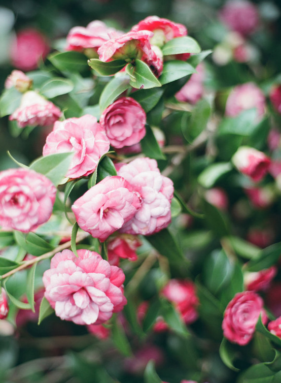 Spring tea party for little girls