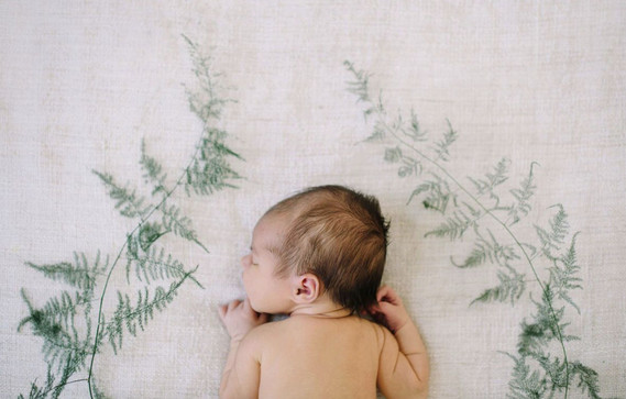 greenery styled newborn photos