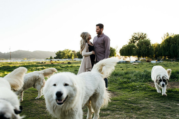 Farm maternity photos